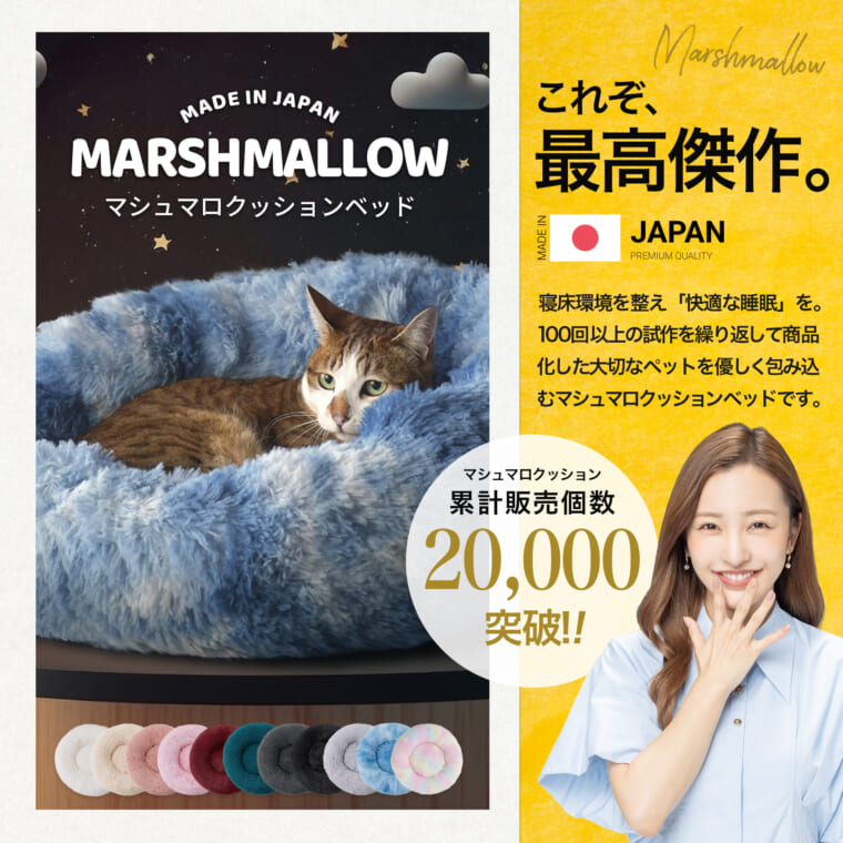 株式会社あやきち様クリエイティブ